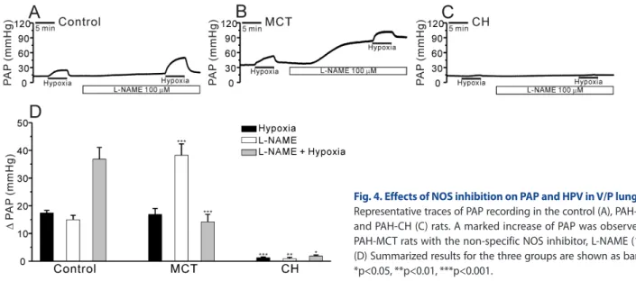 Fig. 4. Effects of NOS inhibition on PAP and HPV in V/P lungs.  (A~C)  Representative traces of PAP recording in the control (A), PAH-MCT (B),  and PAH-CH (C) rats