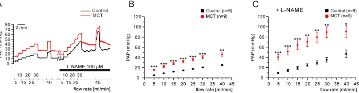 Fig. 5. Effect of increased flow rate in V/P lungs of the control and PAH-MCT rats. (A, B) Representative traces of responses to the serially increased  flow rate in the control and PAH-MCT rats (A)
