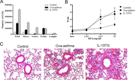 Fig. 1. Airway inflammation and hyperresponsiveness in murine asthma model. Increased total and differential cell count in bronchoalveolar lavage (BAL) fluid (A) and enhanced airway hyperresponsiveness (Penh) [15] (B) in Ova sensitized and challenged murin