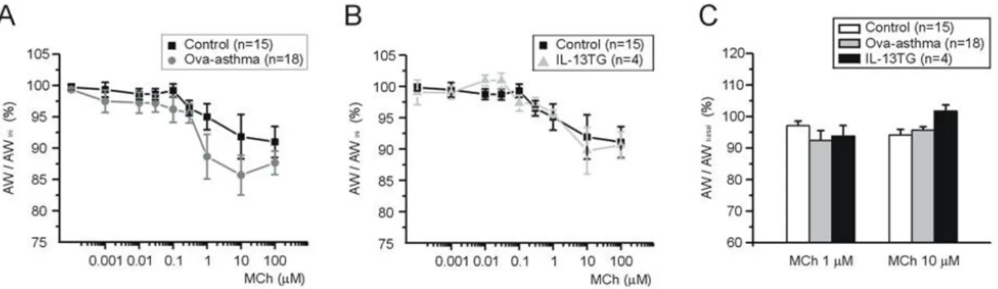 Fig. 5. Recovery AW after repetitive and incremental application of MCh. AWs were measured at 3 min after washout of various  concentrations of MCh (see Fig
