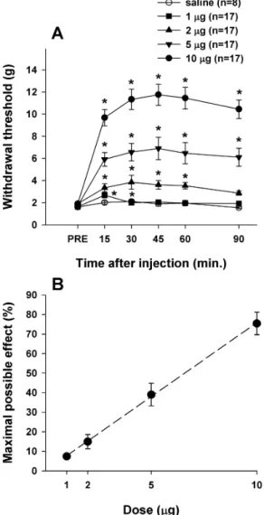 Fig. 2. Decreased paw withdrawal thresholds in SCI rats were  significantly increased by IT CI-988