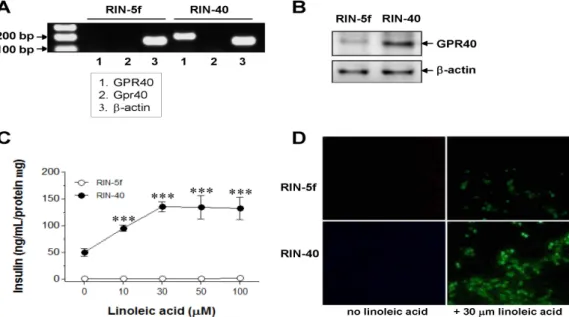 Table 2. Frequencies of differentially expressed genes in RIN-5f vs. RIN-40 and RIN-40 vs