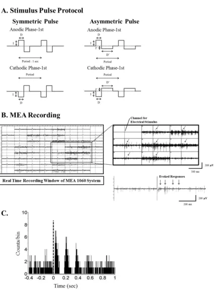 Fig. 1. Current pulse protocol for electrical stimulation, real time recording window of MEA1060 system and typical post-stimulus time  histogram (PSTH) shape in rd1 mice