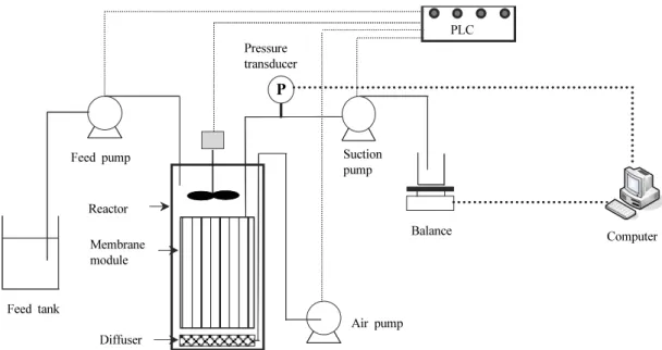 Fig. 2. Schematic diagram of MSBR system.