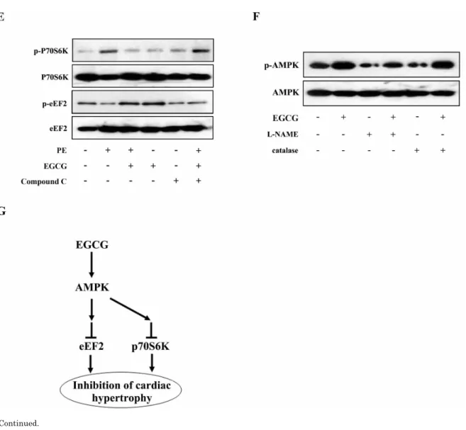 Fig. 4. Continued.