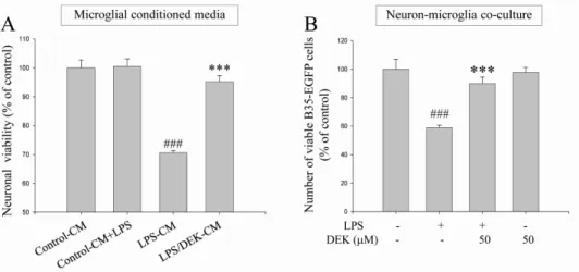 Fig. 2. Neuroprotective effects of DEK against microglial-mediated neuronal cell death