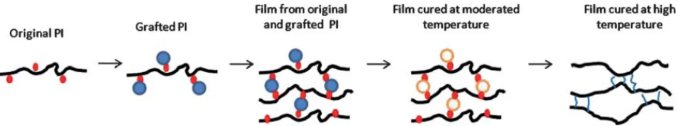 Fig. 11. Evolution scheme from copolyimide, beta-cyclodextrin grafted copolyimide to thermally cured beta-cyclodextrin graft- graft-ed copolyimides[21].