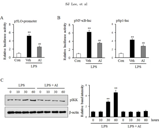 Fig. 3. Role of Akt on LPS-induced 5-LO expression mediated by Sp1 and NF-κB signaling pathways