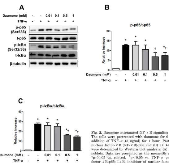 Fig. 2. Daumone attenuated NF-κB signaling in Hep G2 cells.