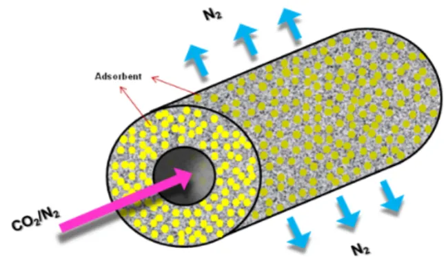 Fig. 1. Structure of adsorptive permeation hollow fiber  membrane (APM).가스의 흐름 속도가 중심부에서 빠르고 주변부에서 느려 주로 중심부에서 흡착이 이루어지기 때문에 흡착제의 사용량에 비하여 흡착량이 제한적이며,  사용시간에  따라 흡착제 충진 밀도가 커져 압력 강하의 증가에 따 라 흡착제의 재생 시간이 길다는 단점이 있다