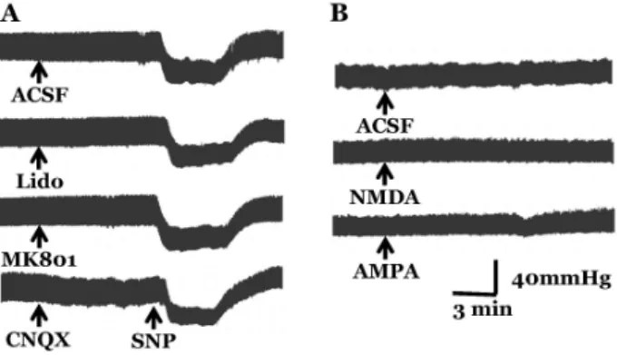 Fig. 1. Changes in blood pressure after microinjection of glutamate  receptor antagonists or agonists into the medial vestibular nuclei  (MVN)