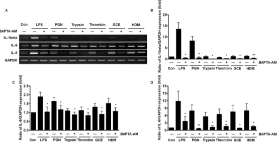 Fig. 4. Effect of bacterial PAMPs and allergic mediators on expression  of RANKL and OPG mRNA in human PDL fibroblasts