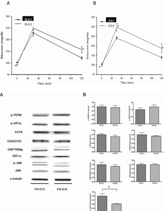 Fig. 2. Changes in blood glucose  concentration during the IP-GTT. 