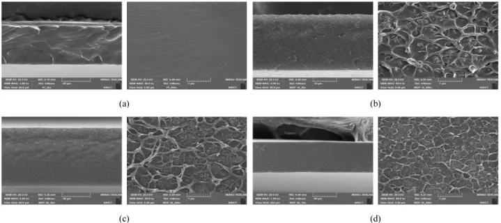 Fig. 4. Cross-section images of polyimide and mixed-matrix membrane. (a) polyimide, (b) 10 wt%, (c) 20 wt%, (d) 30 wt% MOF.