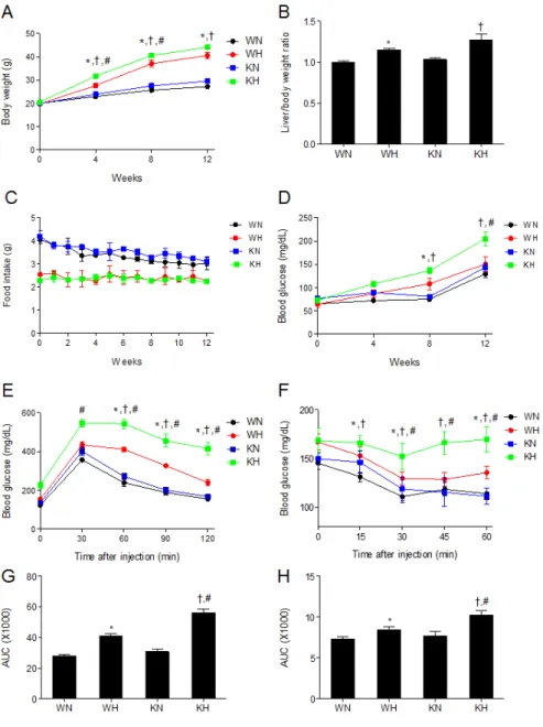 Fig. 1. SIRT1 deletion aggravates  HFD-induced weight gain and  insu-lin resistance. (A) Body weights, (B) liver/body weight ratio, (C) food  in-take, (D) fasting blood glucose levels,  (E) GTT, (F) ITT, (G) area under  curve (AUC) for GTT and (H) AUC  for