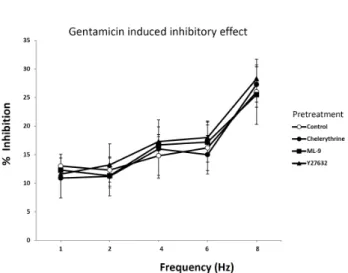 Fig. 3. Effect of chelerythrine, ML-9 and Y27632 on EFS in rat  bladder smooth muscle treated with gentamicin