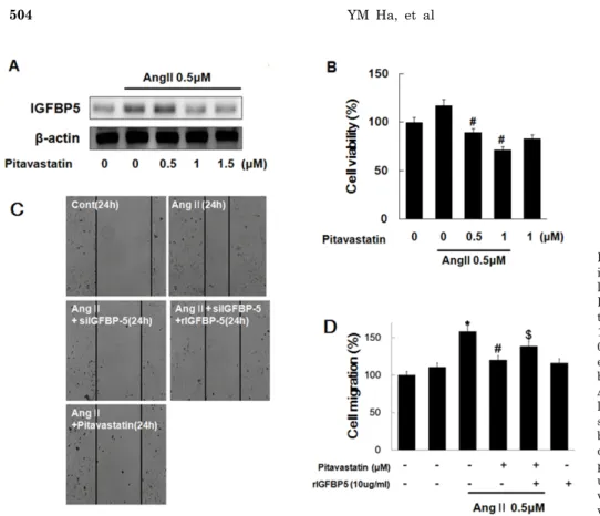 Fig. 6. Pitavastatin modulates Ang II- II-induced IGFBP5 expression,  pro-liferation and migration in VSMC via  IGFBP5 expression