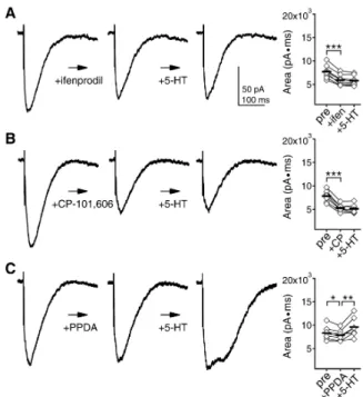 Fig. 3. Importance of GluN2B subunit in the 5-HT-mediated enhan- enhan-cement of NMDAR currents