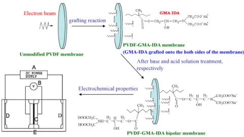 Fig. 9. Schematic diagram of PAMAM G3 : the initiate  core is ethylenediamine and the repeating unit is – CH 2 CH 2 CONHCH 2 CH 2 N–[16]