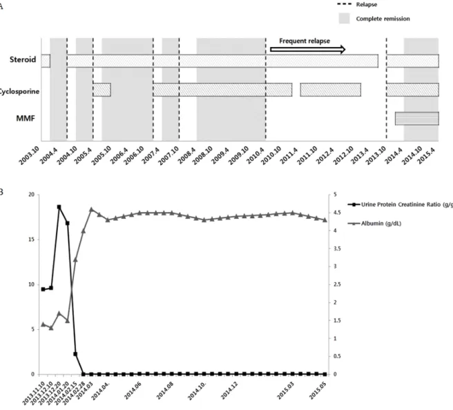 Fig.  3.    Long-term  treatment  course  of  steroid  resistant  minimal  change  disease.