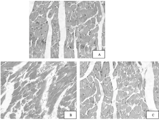 Table 1. Effect of naloxone postconditioning on p-JNK expres- expres-sion of MIRI rats (mean±SD, n=8)
