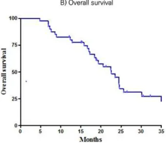 Fig.  1.  Survival  curves  by  the  Kaplan–Meier  method.