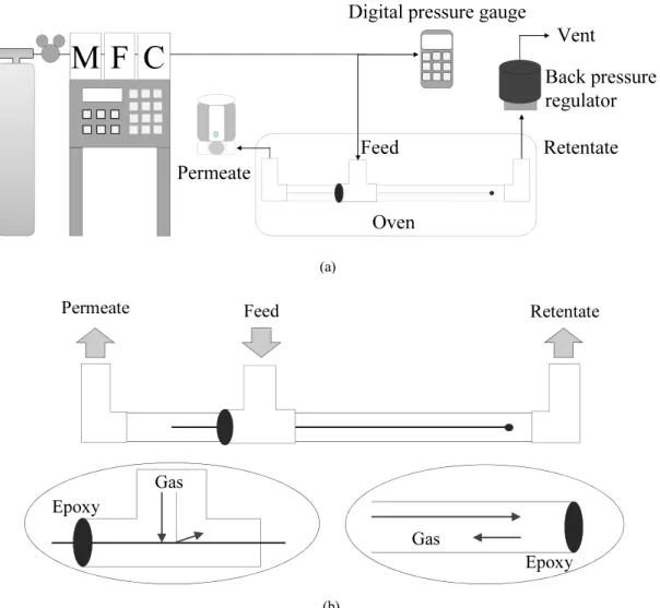 Fig. 2. Schematic diagrams of (a) test module and (b) gas permeation system.