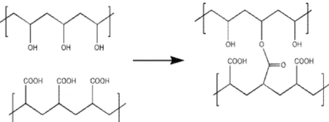 Fig. 1. Condensation reaction between PVA and PAA. 점을 지니고 있다.  이런 문제들은 반응과 분리가 동시 에 일어나는 투과증발공정에 분리막을 이용해 해결이  가능하다[6,7]