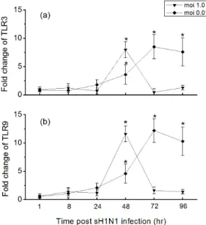 Fig. 4. Time course of cytokines expressions in Hep-2 cells in  response to sH1N1 virus
