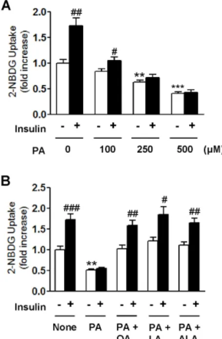 Fig. 1. Concentration-dependent effect of palmitic acid (PA) on  2-NBDG uptake of C2C12 cells in the presence or absence of 100  nM insulin (A)