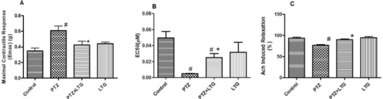 Fig. 6. (A) Maximal contractile response (E-max) induced by phenylephrine (PE). (B) Effective concentration 50 (EC50) of PE