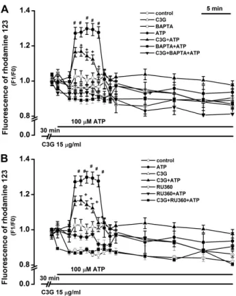 Fig. 6. Inhibitory effects of cyanidin-3-glucoside on ATP-induced  depolarization of mitochondrial membrane potential through a Ca 2＋