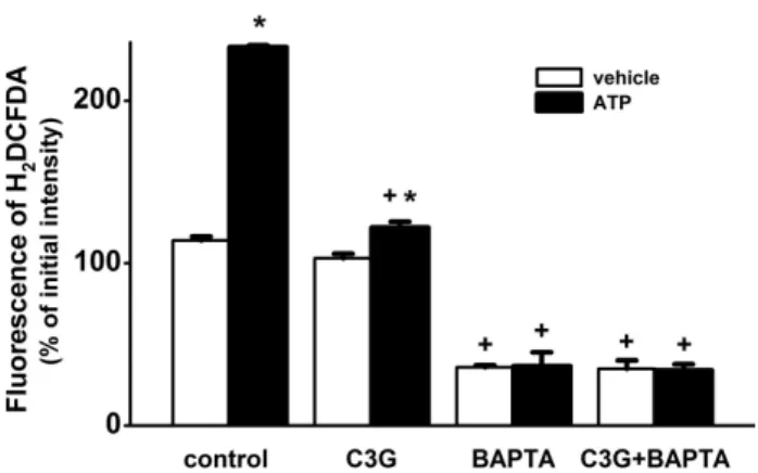 Fig. 7. Inhibitory effects of BAPTA-AM and cyanidin-3-glucoside  on ATP-induced formation of ROS