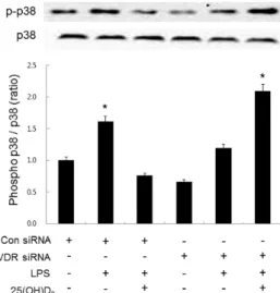 Fig. 4. Effect of VDR siRNA on the inhibitory effect of 25(OH)D 3