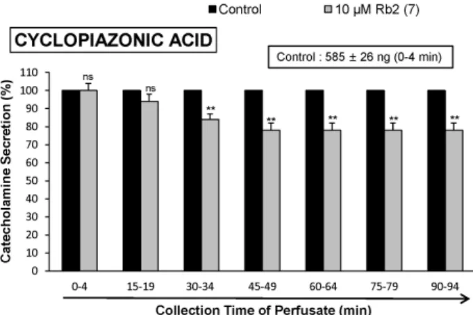 Fig. 4. Time-course effects of Rb2 on the CA secretion evoked by  Bay-K-8644 from the perfused rat adrenal medulla