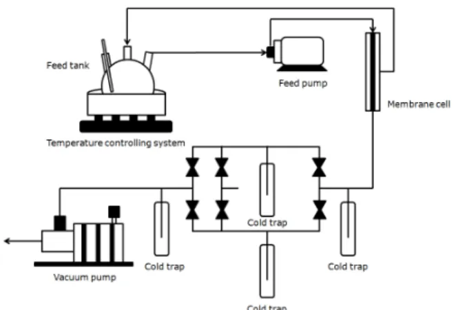 Fig. 3. Effect of the reaction temperature on flux and sep- sep-aration factor at GA 11 wt% torward PVA content.