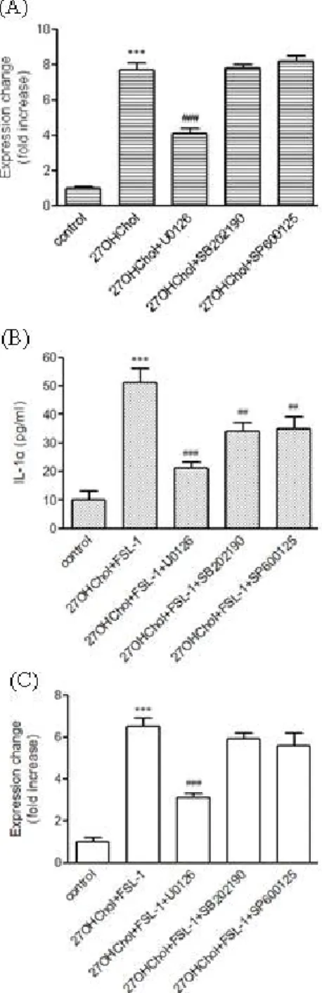 Fig. 4. Effects of inhibitors of MAPKs on TLR6-mediated expression  of IL-1α. (A) Serum-starved THP-1 cells were treated with 27  OHChol (2.5 μg/ml) for 24 h after pre-incubation for 2 h in the  absence or presence of the indicated inhibitors (5 μM each)