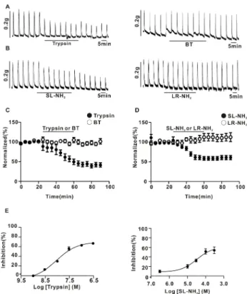Fig. 1. Effect of PAR-2 agonists on EFS-induced contraction in  endothelium-denuded rat superior mesenteric arterial strips