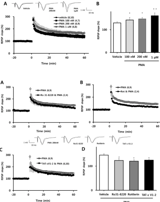 Fig. 1. Effects of PMA on the induc- induc-tion of LTP by one episode of TBS. 