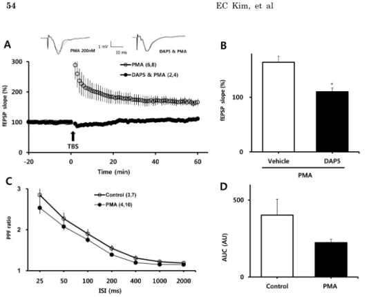 Fig. 3. Involvement of NMDA re- re-ceptors in PMA-induced facilitation  of LTP and PPF