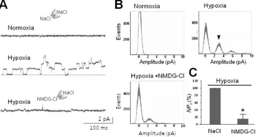 Fig. 3. Hypoxia-activated channel selective to Na + . (A) Representative tracings of 30-pS channels blocked by removal of Na + 