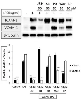 Fig. 1. Effect of Rg2 on the protein expression levels of adhesion  molecules in HUVEC stimulated with LPS