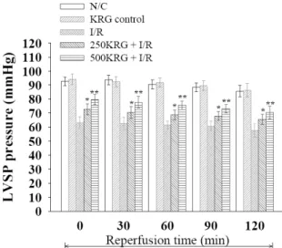 Fig. 4. Effects of 250 and 500 mg/kg  KRG on the maximal rate of change  in left ventricular contraction (＋