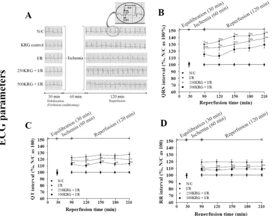Fig. 5. Effects of 250 and 500 mg/kg  KRG on representative  electrocar-diogram tracings