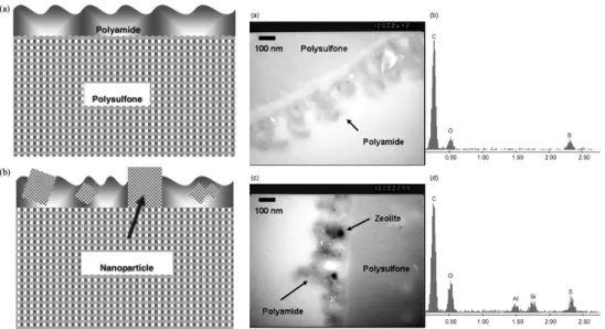Fig. 5. Structural illustration and TEM images of zeolite/polymer thin film composite membrane[7].