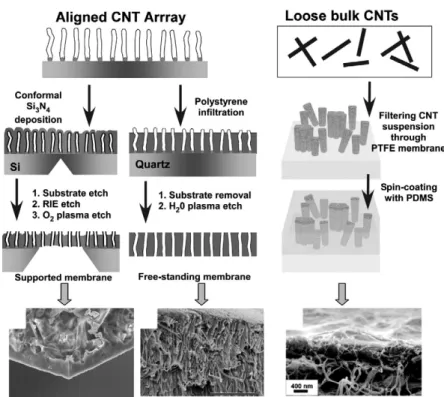 Fig. 7. Schematic illustration of vertically aligned CNTs and CNT/Polymer composite membranes[14].
