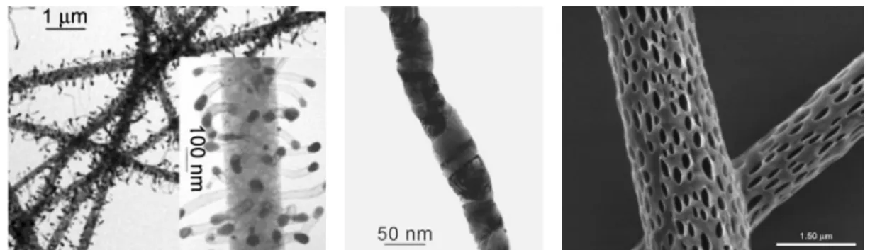 Fig. 13. Functional nanofiber membrane (CNT, catalyst composite,  porous structure)[21].