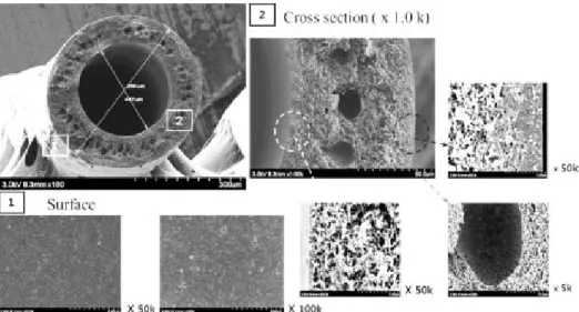Fig. 3. SEM photos of the fabricated membrane. 투과된 기체의 선택도(α)는 분리막을 통해 측정한 각  기체의 투과도 비로 정의된다