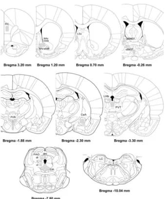 Fig. 1. Schematic representation of the experimental procedures  and groups. (A) the forced swimming test (FST) process consists  of two sessions: a pretest swim (pTS, 15 min) and a test swim (5  min)  24  h  later