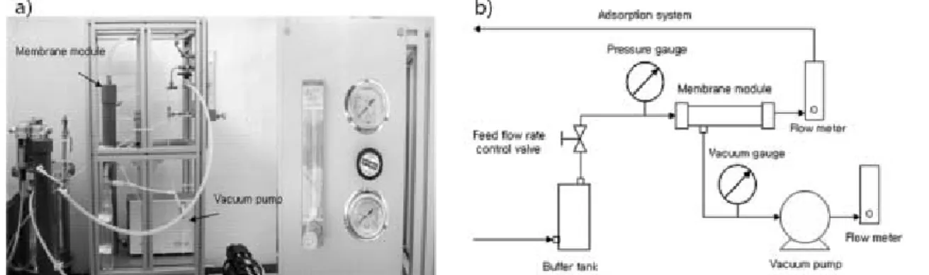 Fig. 2. Permeation apparatus for VOCs removal using membrane module and schematic diagrams.